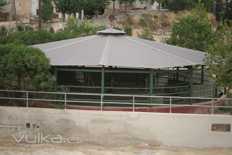 Escuela de equitación en Murcia, escuela de hipica murcia, yeguada murcia, campeon de España de salt