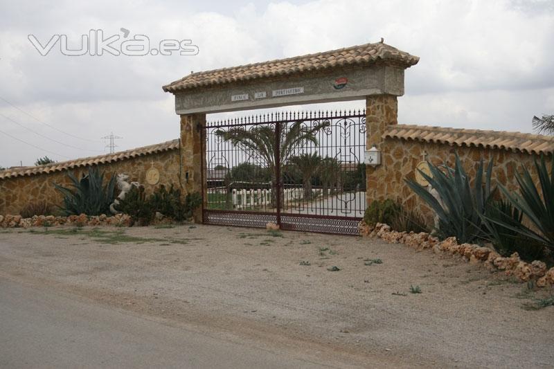 Escuela de equitacin en Murcia, escuela de hipica murcia, yeguada murcia, campeon de Espaa de salt