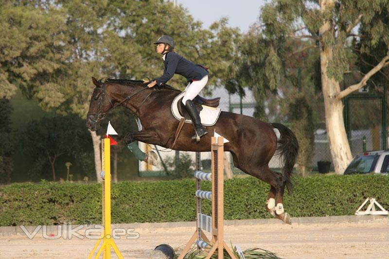 Escuela de equitacin en Murcia, escuela de hipica murcia, yeguada murcia, campeon de Espaa de salt