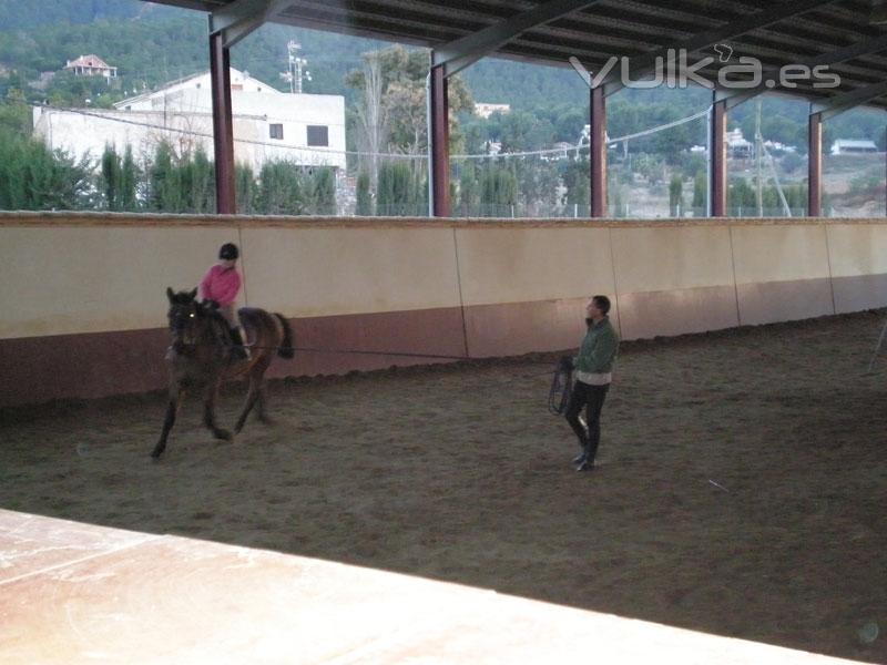 Escuela de equitación en Murcia, escuela de hipica murcia, yeguada murcia, campeon de España de salt