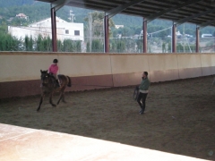 Escuela de equitación en Murcia, escuela de hipica murcia, yeguada murcia, campeon de España de salt