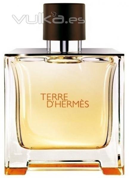 Hermès - Terre D Hermès