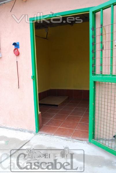 INTERIOR DE LAS CASITAS PARA PERROS