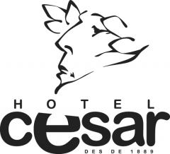 Hotel csar | logotipo