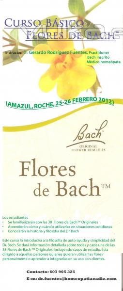 Curso flores de Bach 25-26 Febrero 2012