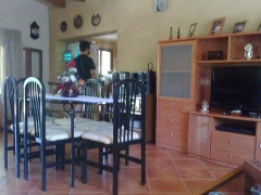 Proyeccion sobre pared por humedade en costitx