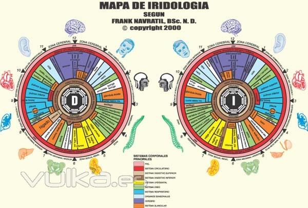 Iridologia