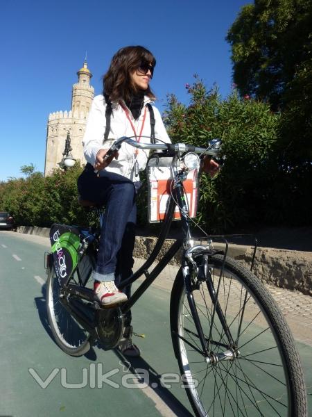 Alquiler, Venta y Reparación de Bicicletas, Rutas por Sevilla: Con Guías o Audio-Tours......