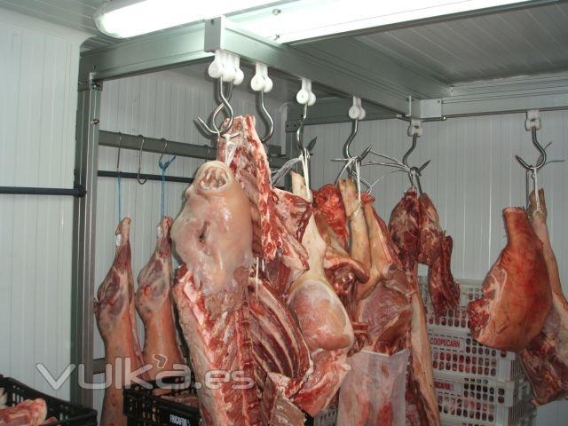 Almacenaje de carne fresca en cmaras frigorficas