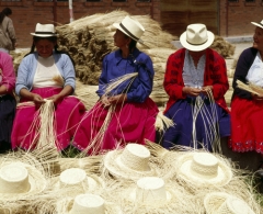 Como pueden ver en la foto son mujeres haciendo el famoso sombrero panama hecho a mano