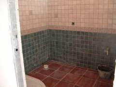 Alicatado Baño