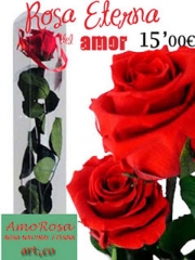 Rosa eterna amo rosa artico una rosa natural, si, si habeis oido bien, natural en artico!