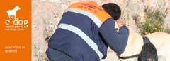Adiestramiento y solucion a problemas de conducta con tecnicas positivas, sin castigos