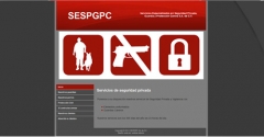 Diseño web - Empresa especialista en seguridad privada México.