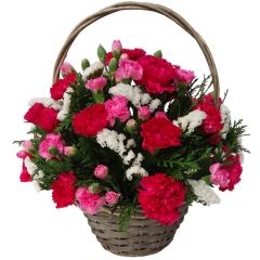 Claveles y clavelinas hacen de esta cesta de flores un detalle para enviar flores a domicilio.