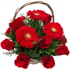 Rosas rojas y gerberas rojas en una cesta de flores especial.