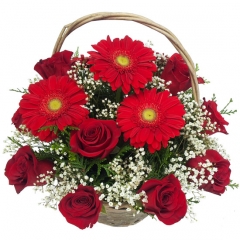 Rosas rojas, gerberas rojas y paniculata una cesta de flores especial para regalar a domicilio