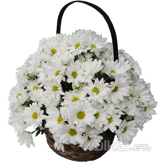 Sencillas y elegantes margaritas blancas. Una cesta con estilo y un regalo especial.