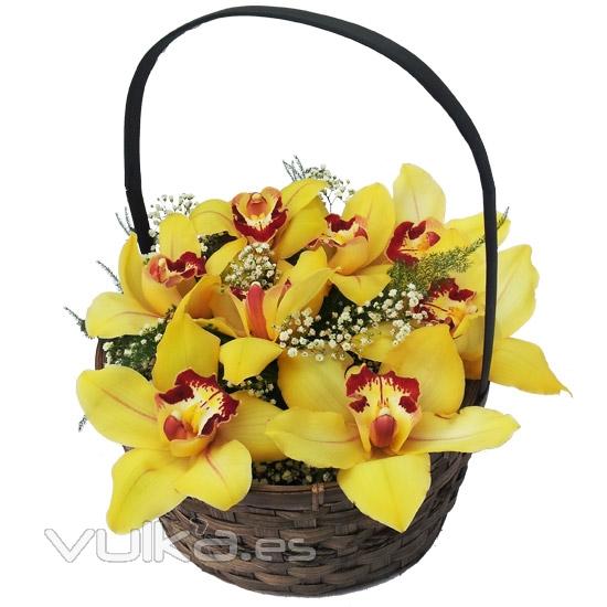 Original Cesta de orquídeas especial para regalar flores a domicilio.