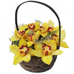 Original cesta de orqudeas especial para regalar flores a domicilio.