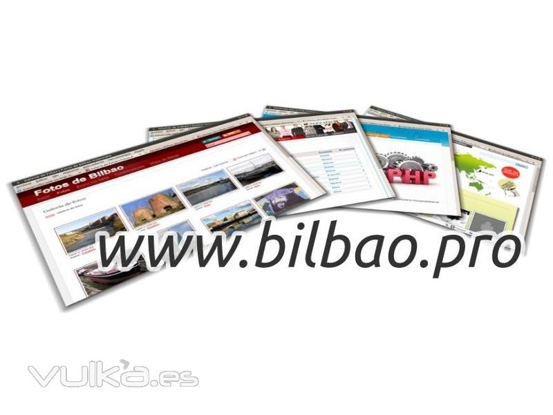 Diseo y desarrollo web en Bilbao