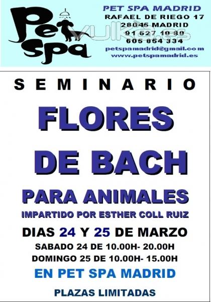 SEMINARIO FLORES DE BACH EN PET SPA MADRID -MARZO2012