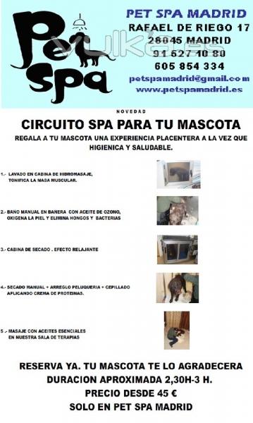 NUEVO CIRCUITO SPA PARA MASCOTAS EN PET SPA MADRID