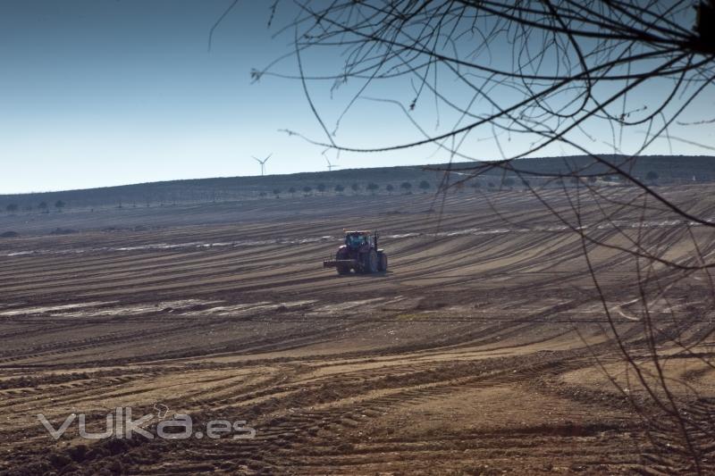 Agroindustrial Ayerbe. Productos naturales.