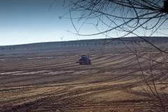 Agroindustrial ayerbe productos naturales