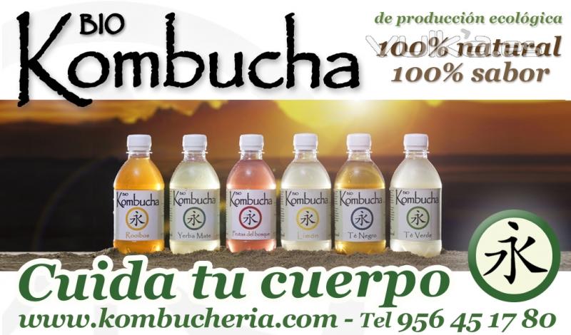 Cuida tu cuerpo - Kombucha - bebida sana