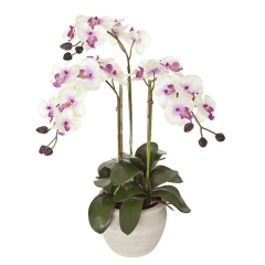 Plantas artificiales con flores. planta orquidea artificial ramas bicolor 75 en la llimona home