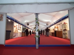 Carpa feria artesania