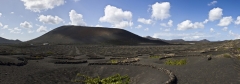 Lanzarote