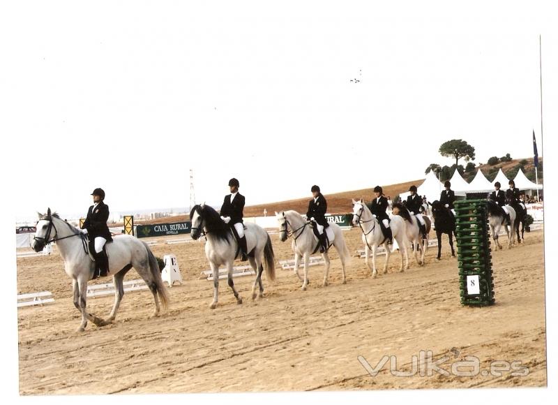 Exhibicion de los alumnos de la Escuela de Equitacion Al-Andalus