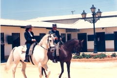 Doma Vaquera