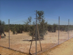 Cerramiento de tubosgalvanizados de finca
