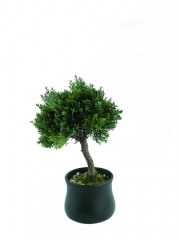 Bonsais artificiales bonsai artificial cedro pequeno oasisdecorcom