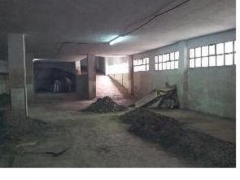 Antes