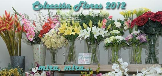 La ms amplia coleccin de flores en Valencia, al alcance de tu mano y para todos los bolsillos.