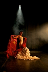 Escuela de danza y baile  - foto 15