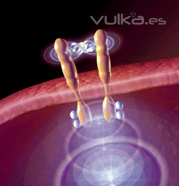 terapia intravitrea