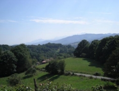 Entorno