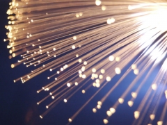 Fibra optica