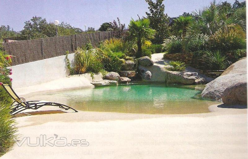 piscina BIODESING con formas exclusivas con bajo impacto ambiental diseño perfecto para hoteles.
