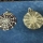 Medallones plata y concha