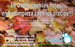 Ofertas puntuales de wwweco-limpiezacom