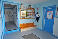 Escuela infantil bambu - foto 19