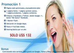 Promo 1 usd 132 (unico pago) consta de web hosting pago por 1 ano + el diseno de tu pagina