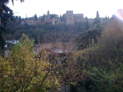 La alhambra desde el albaicin