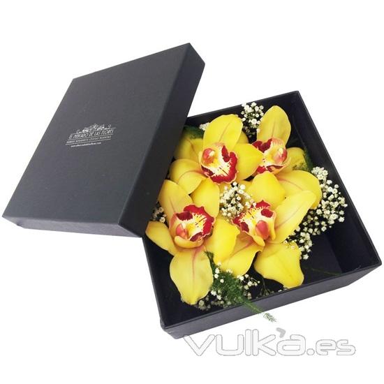 Original caja de orquideas, una forma de enviar flores a domicilio que sorprender.